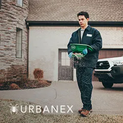 Urbanex Pest Control Picture 7
