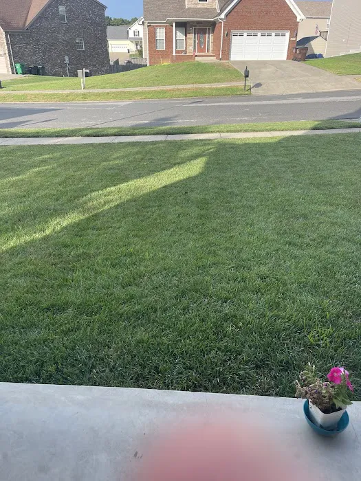 Moxie Pest Control Picture 8