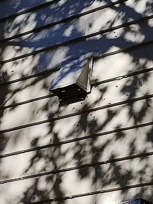 First Choice Pest Control Picture 2