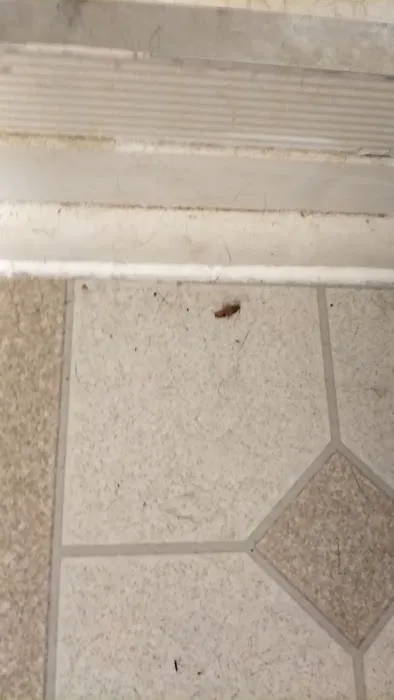 Aardvark Pest Control Inc. Picture 8