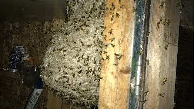 Affordable Bio Control Picture 1