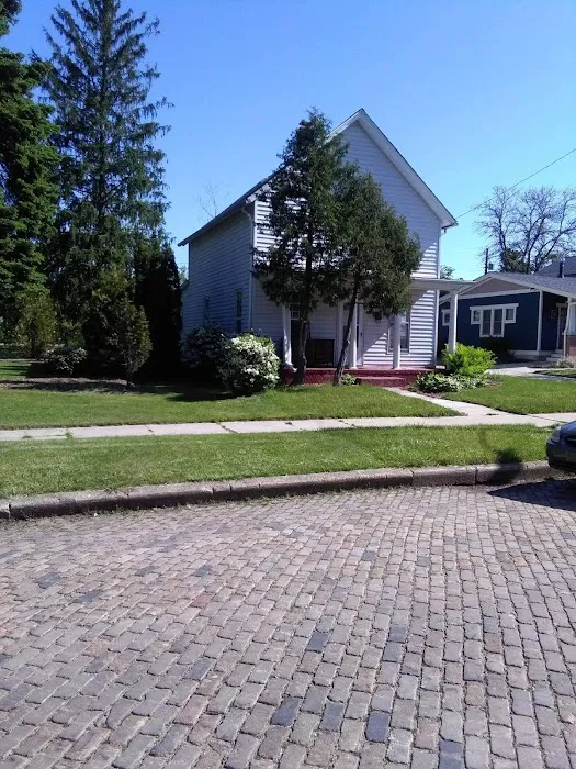 South Bend Wasp Nest Services Picture 1