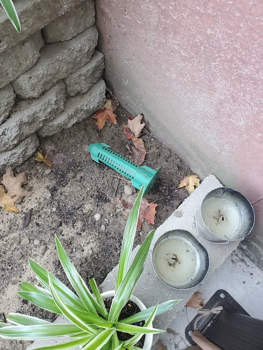 Rose Pest Solutions South Bend Picture 6