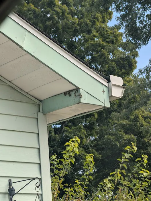 Rose Pest Solutions South Bend Picture 4