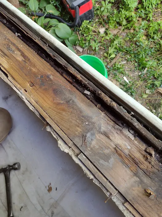 Rose Pest Solutions South Bend Picture 3