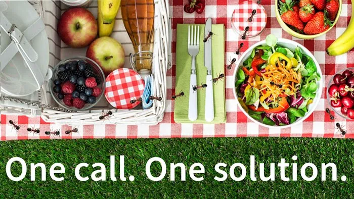 Franklin Pest Solutions Picture 9