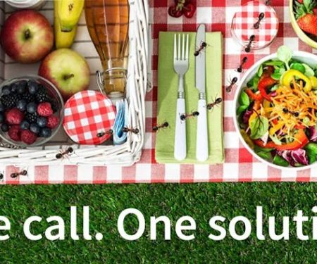 Franklin Pest Solutions