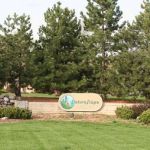 Naturescene Lawn and Landscape Care