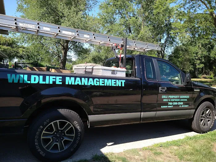 Cole Property Services Picture 1
