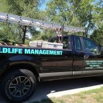 Cole Property Services