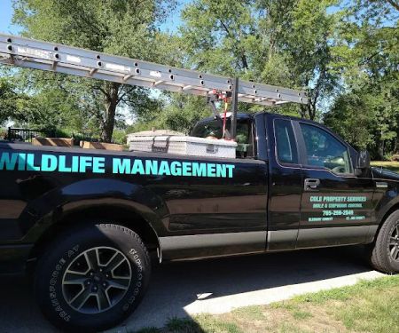 Cole Property Services