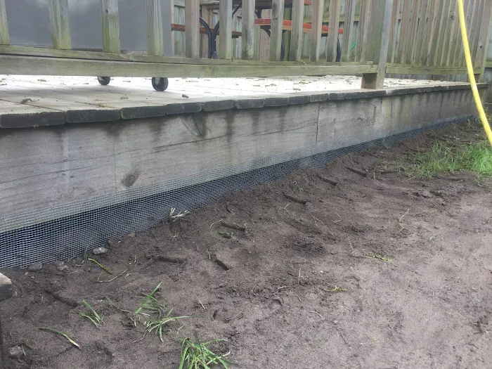 Southwest Michigan Wildlife Removal Picture 6