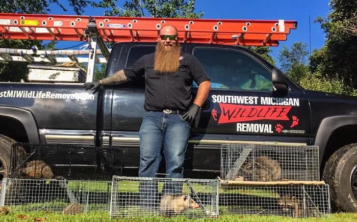 Southwest Michigan Wildlife Removal Picture 9
