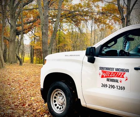 Southwest Michigan Wildlife Removal