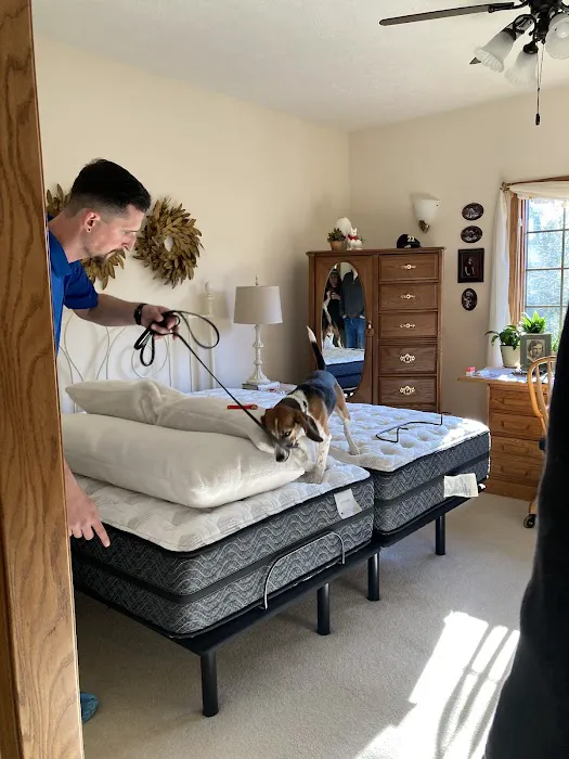 Rose Pest Solutions Lansing Picture 8