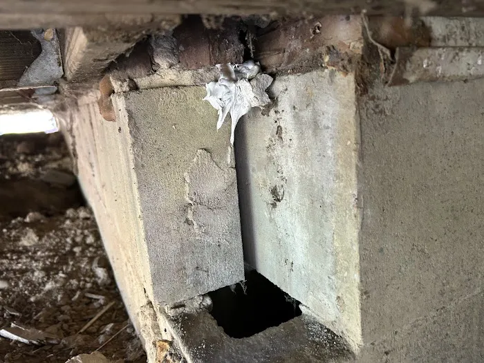 Rose Pest Solutions Lansing Picture 2
