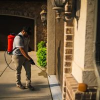 Greenix Pest Control ico