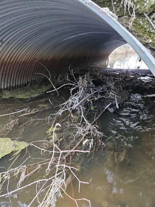 Northern Wildlife Services LLC Picture 1