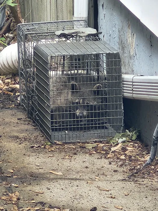 Northern Wildlife Services LLC Picture 3