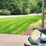 Custom Personalized Lawn Care