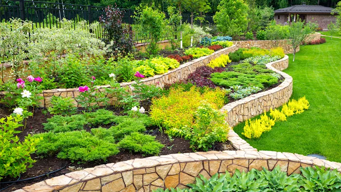 ArborLawn Picture 4