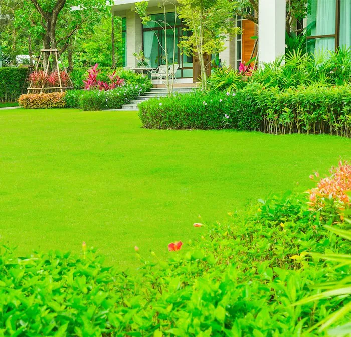 ArborLawn Picture 9