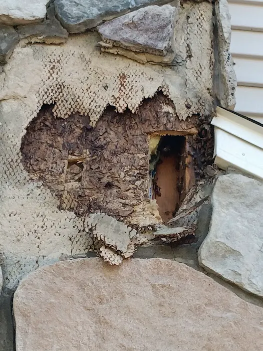 Swarm Bee Buzzters Picture 4