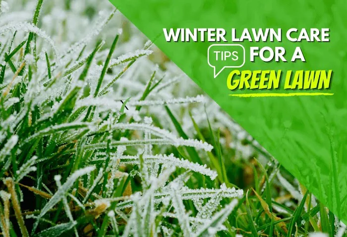 ExperiGreen Lawn Care Picture 1