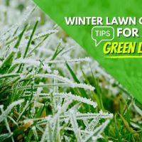 ExperiGreen Lawn Care ico