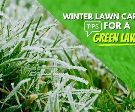 ExperiGreen Lawn Care