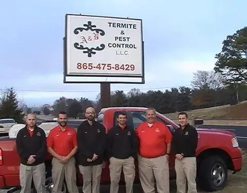 A & B Termite & Pest Control Picture 7