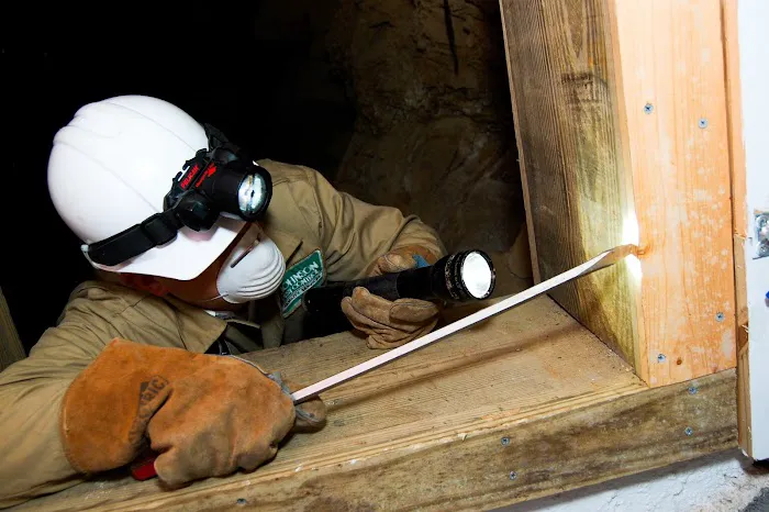 Johnson Pest Control Picture 1