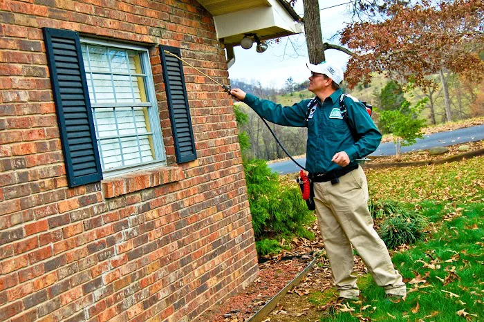 Johnson Pest Control Picture 6