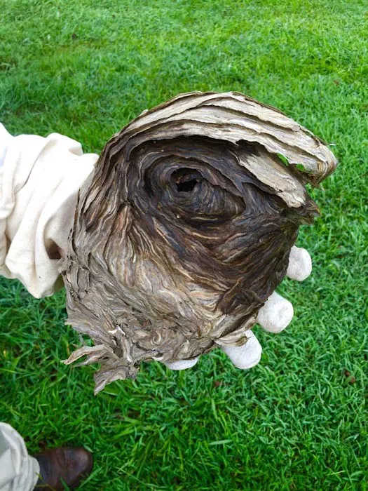 Johnson Pest Control Picture 8