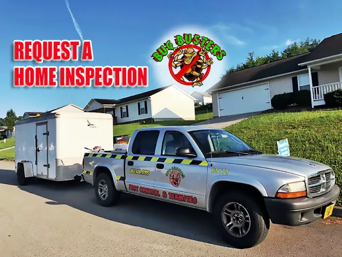 Bug Busters Pest Control Picture 1