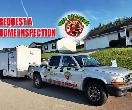 Bug Busters Pest Control