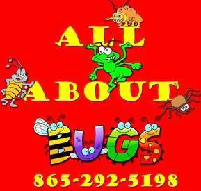 All About Bugs Pest & Termite Control Picture 3