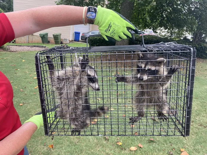 Precision Pest and Wildlife Removal Picture 2