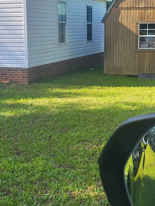 Precision Pest and Wildlife Removal Picture 5