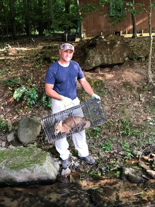 Precision Pest and Wildlife Removal Picture 7