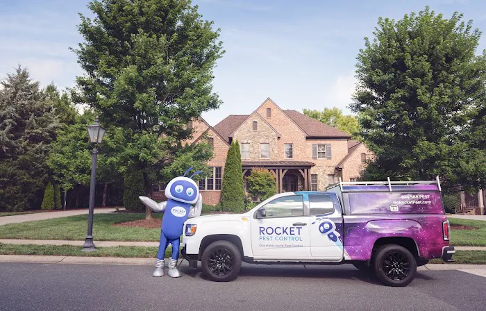 Rocket Pest Control Picture 4