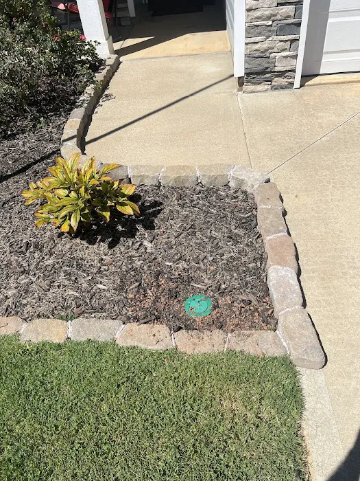 Rocket Pest Control Picture 3