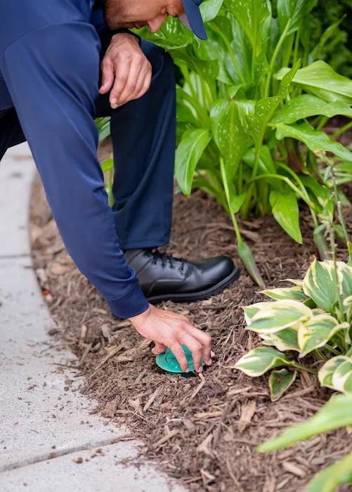 Rocket Pest Control Picture 10