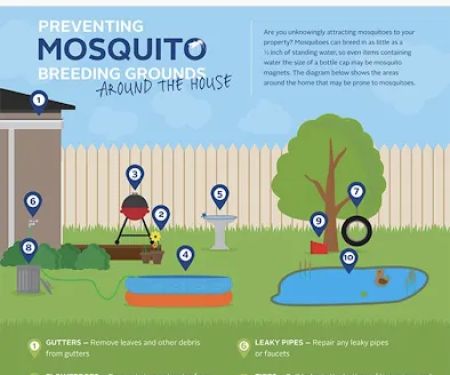 Sargent Pest Solutions