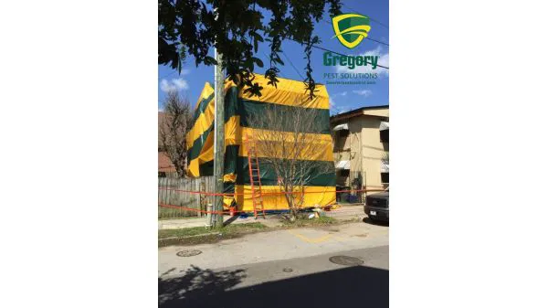 Gregory Pest Solutions Picture 3