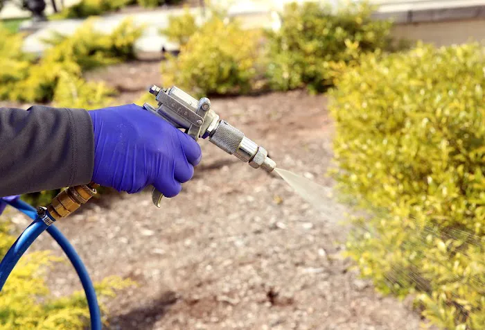 ClearDefense Pest Control Picture 2