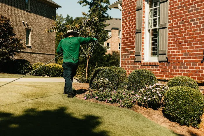 King GREEN Picture 2