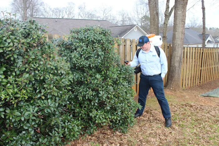 Pest Management Solutions Picture 7