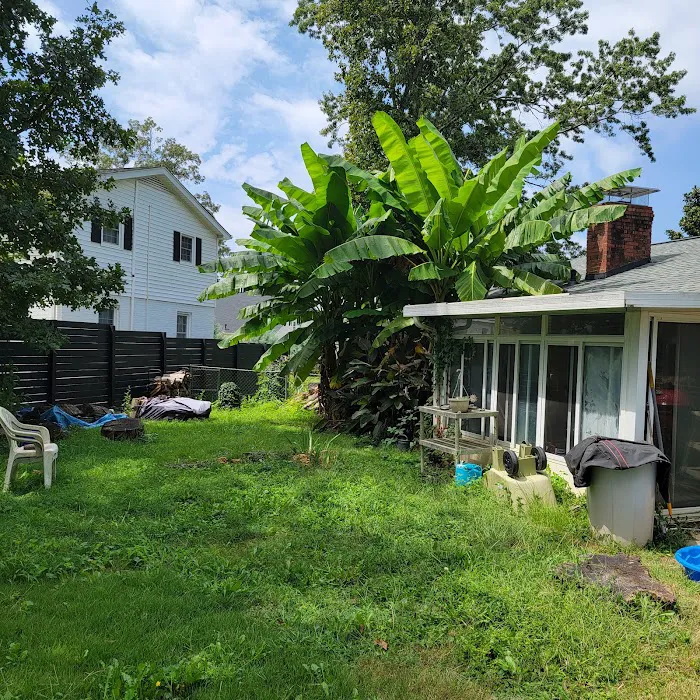 Aruza Pest Control Picture 10