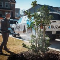 Aruza Pest Control ico
